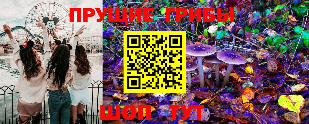 Галлюциногенные грибы Magic Shrooms Заволжье